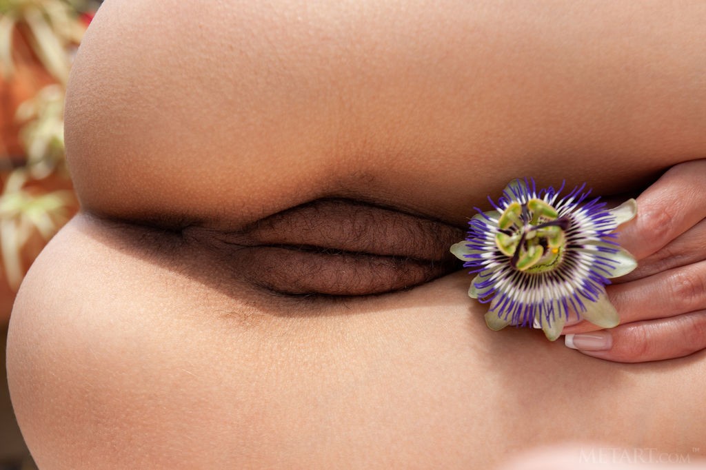 Megan Muse - Nature loving girl posing naked with flowers in her hair